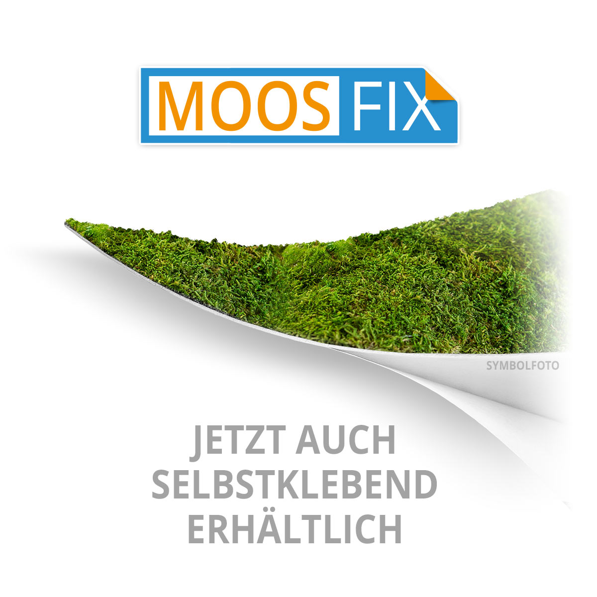 Islandmoos Logos / Schriften - Hartschaum schwarz - mit Rahmen